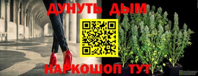 дурь Гатчина