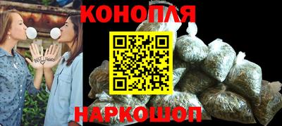 прущие крисы Гай