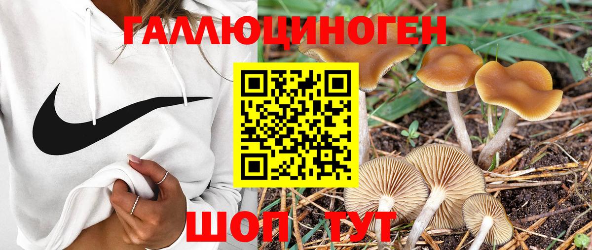 Псилоцибиновые грибы Magic Shrooms  Вход с VPN  Галлюциногенные грибы Cubensis  наркота  Гурьевск 